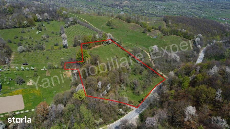 Teren de 15856 mp, în Valea Iașului