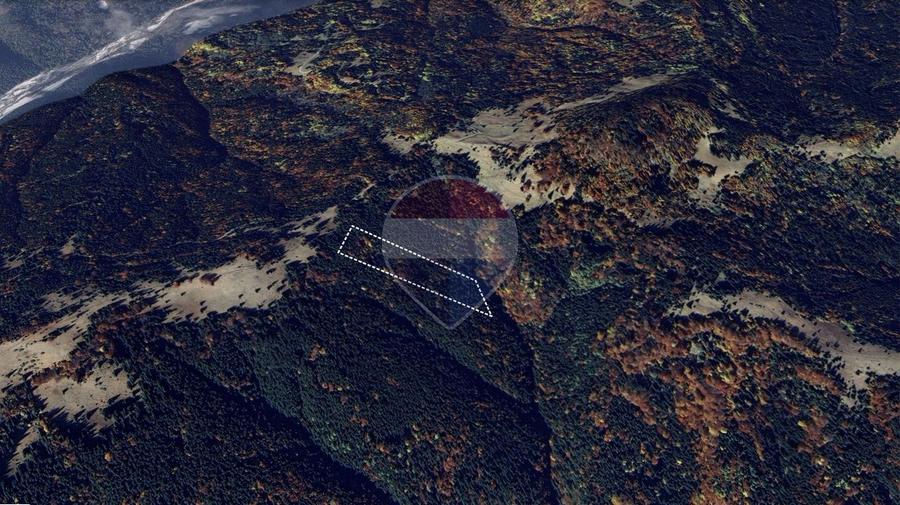 Teren agricol extravilan de 7000 mp, în Gârcini
