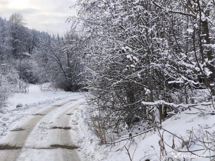 Teren de 22600 mp, în Sucevița