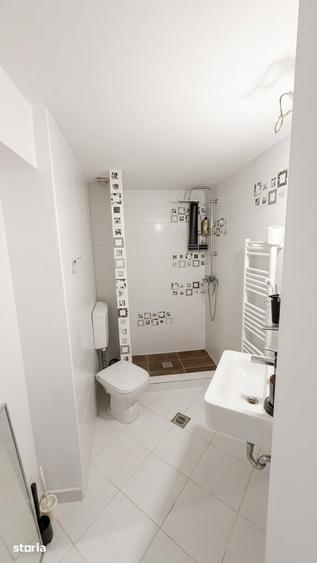 Casa individuala cu 4/5 locuri de parcare in Domenii - 18