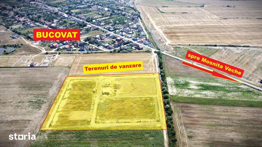 Terenuri intre Mosnita si Bucovat, cu gaz, apa, curent 62 euro/mp+TVA - 3