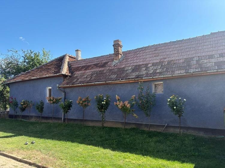 Casa de vanzare, teren 14 arii - 3