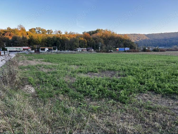 Teren de 5800 mp, în Central