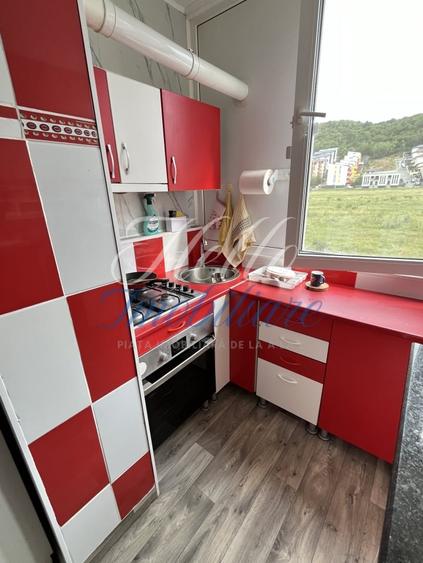 Apartament 3 camere, 50 mp, terasa | zona Porii, Floresti - 9