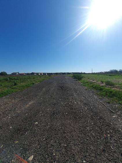Teren Construcții intravilan de 556 mp, în Brănești