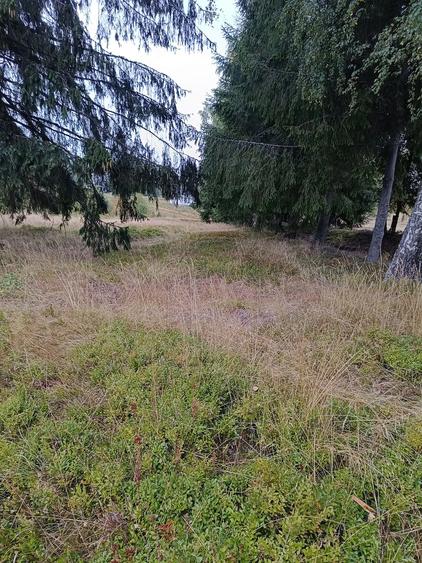 Teren de 3300 mp, în Râșca