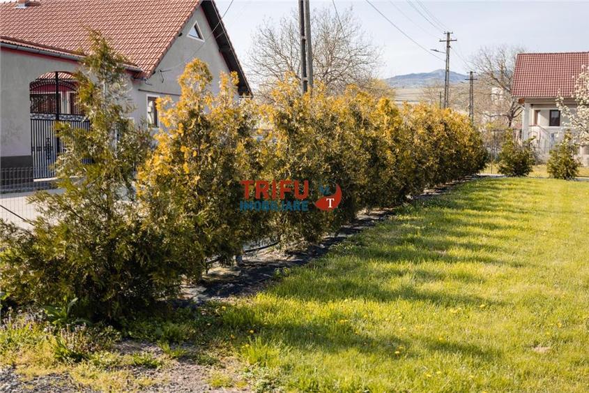 Teren Construcții intravilan de 11771 mp, în Vințu de Jos