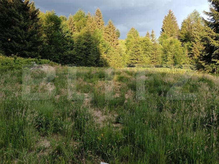 Teren Construcții intravilan de 1500 mp, în Sud