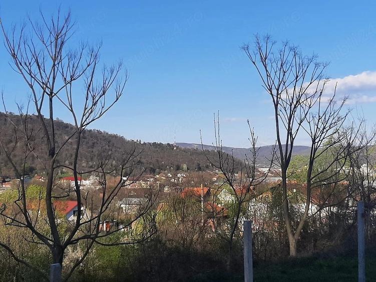 Teren de 11500 mp, în Morilor