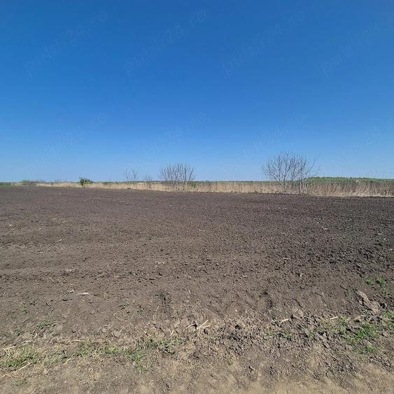 Teren de 11961 mp, în Grădiștea