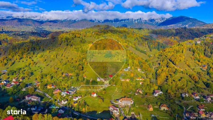 Spațiu comercial, în Moieciu