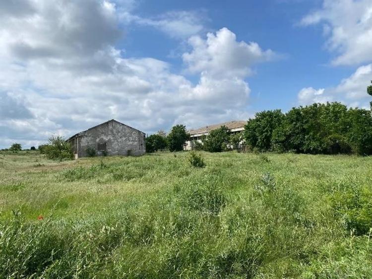 Teren agricol intravilan de 16862 mp, în Hârșova