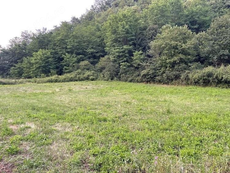Teren de 1184 mp, în Cărmăzănești