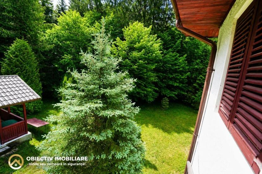 🏡 Cabană de Vânzare în Tarcău – Natură, Relaxare și Pescuit la Poartă! 🎣🌲 - 6