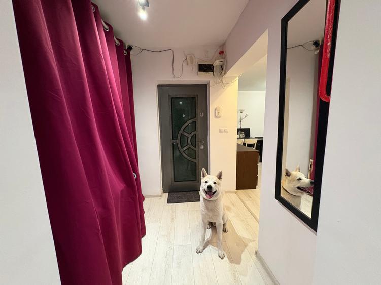 Apartament 3 camere decomandat, strada Observatorului, Zorilor - 15