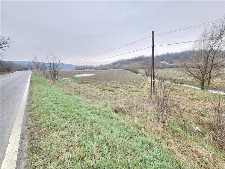 Teren agricol extravilan de 3500 mp, în Grigoreni