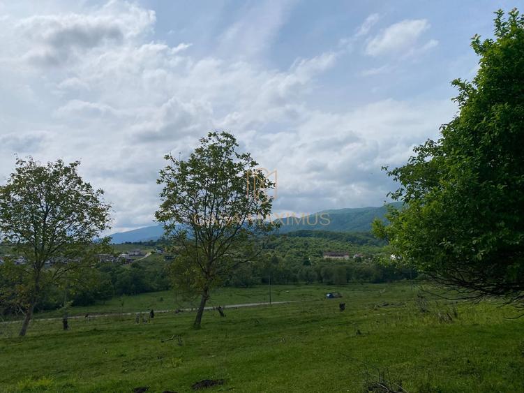 Teren Construcții intravilan de 3738 mp, în Cisnădioara