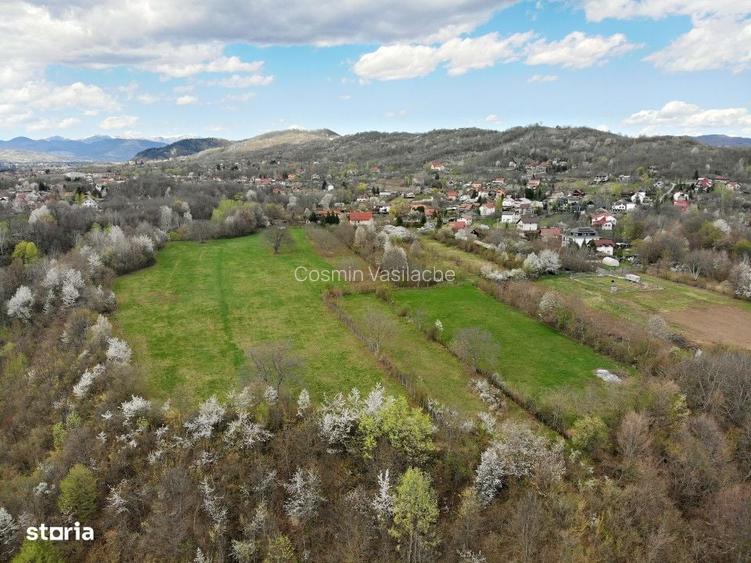 Mountain Plateau - 23.345 SQM - Exclusive Estate | Jud Prahova - Valea