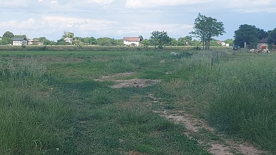 Teren în Central