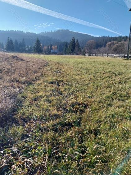 Teren de 6529 mp, în Valea Stânei
