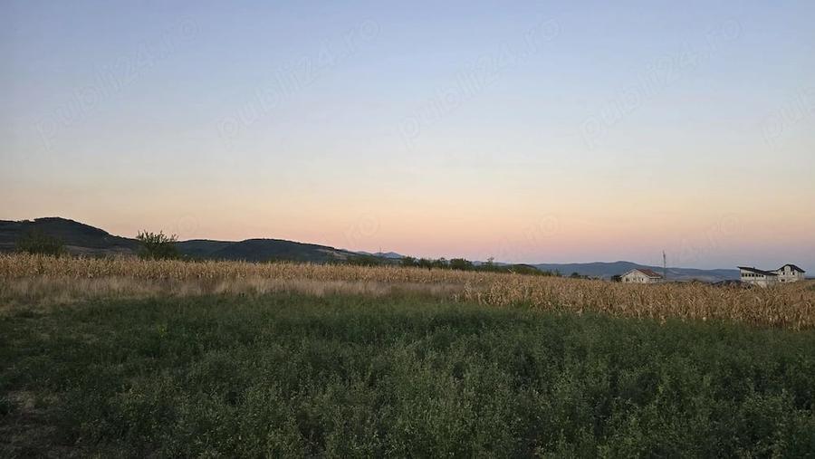 Teren de 2600 mp, în Mintia