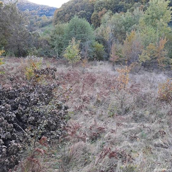 Teren de 10000 mp, în Central