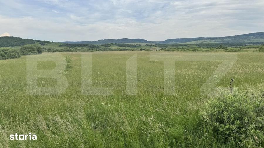 Teren de 5500 mp, în Livezile