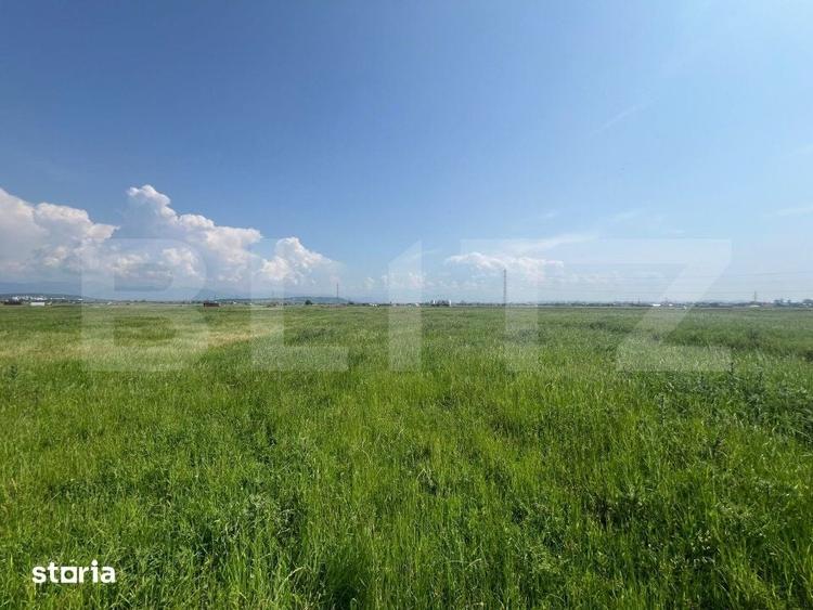 Teren de 10000 mp, în Drăgotești