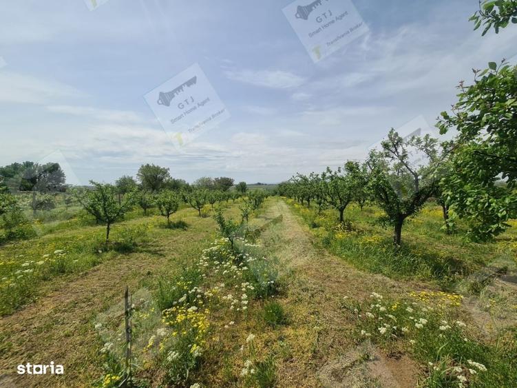 Casă cu 4 camere semidecomandat în Diocheți-Rediu