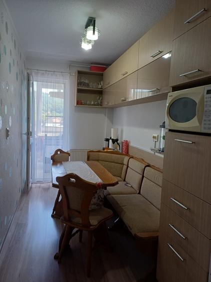 Apartament cu 2 camere decomandat în Slătinioara
