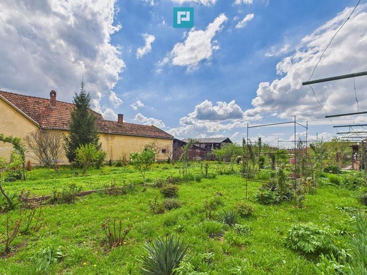 Teren Construcții intravilan de 1300 mp, în Beregsău Mare