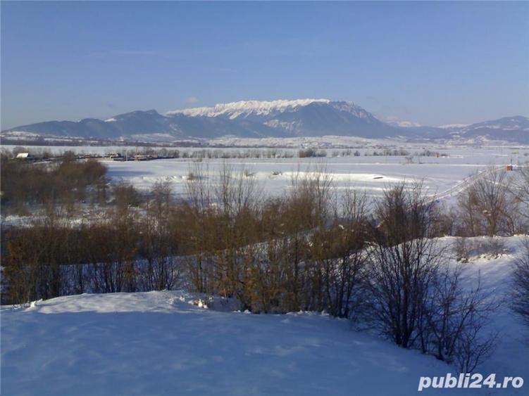 Teren de 10000 mp, în Glăjărie