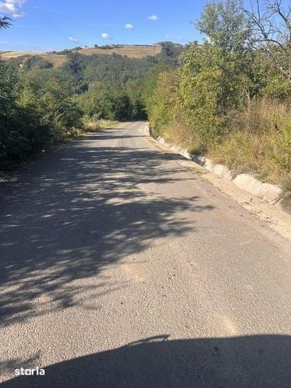 Teren de 20000 mp, în Stremț