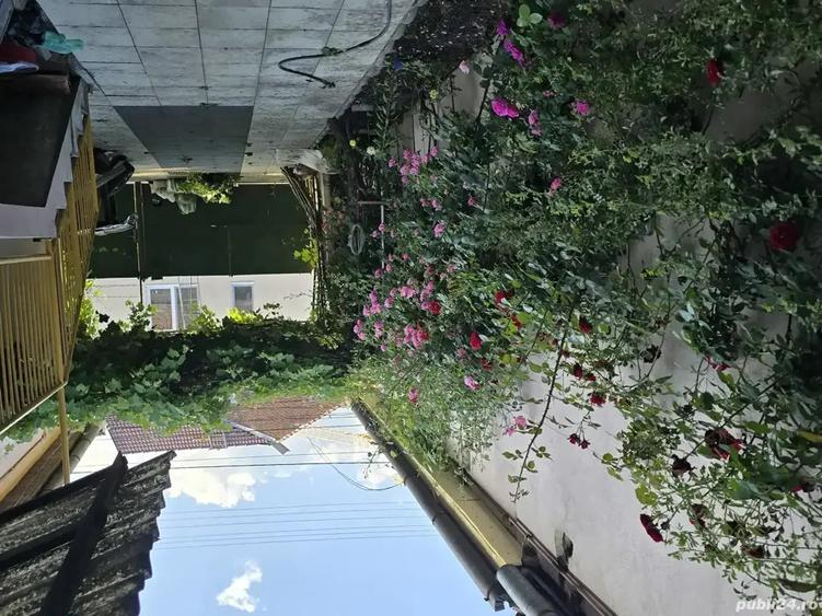 Vand Casa zona Calea Dumbravii-strada Bacovia 585.000 - 5