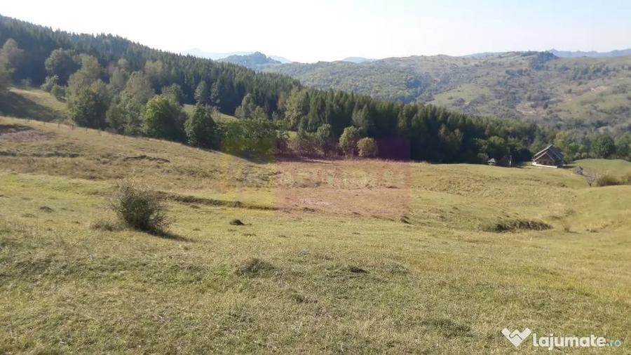 Teren de 9037 mp, în Plaiul Tălii