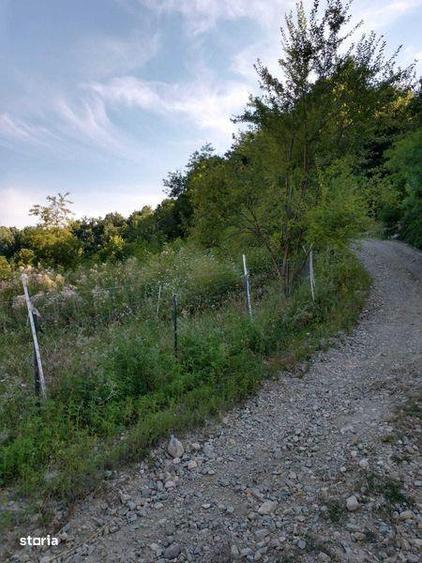 Teren de 300000 mp, în Roșia de Amaradia