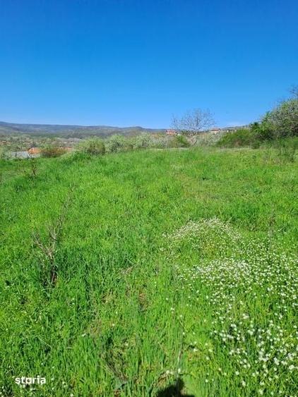 Teren de 900 mp, în Izvoru Bârzii