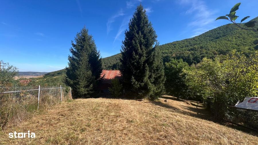 Cabana de vacan?a P+M cu 1.941 mp teren Gura Raului, Marajdie - 17