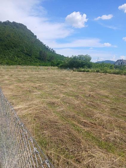 Teren de 1400 mp, în Sărata