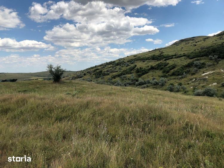 Teren de 500000 mp, în Gura Vadului