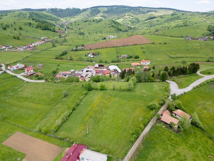 Teren Construcții intravilan de 6000 mp, în Barcani