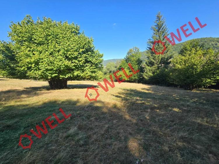Teren extravilan de 7766 mp, în Dălghiu