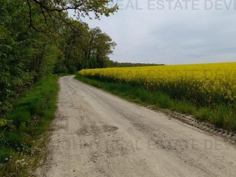 Teren Construcții intravilan de 14100 mp, în Gruiu