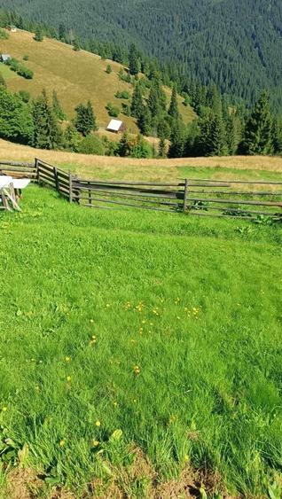 Vand teren intravilan - 3