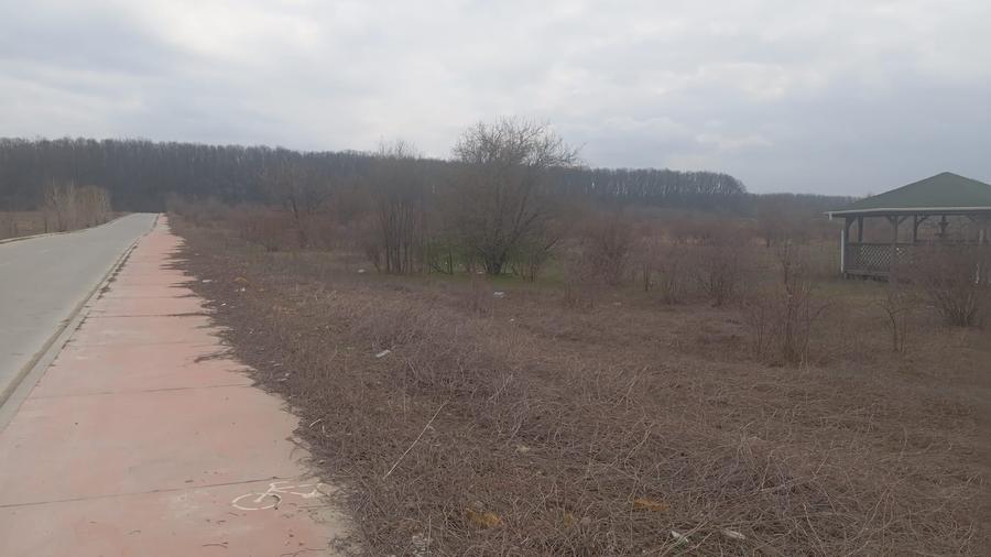 Teren Construcții intravilan de 17798 mp, în Dragomirești-Deal
