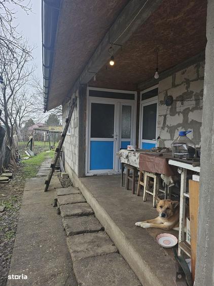 Comuna Valcelele, Strada Mircea cel Batran, Jud. Calarasi - 1