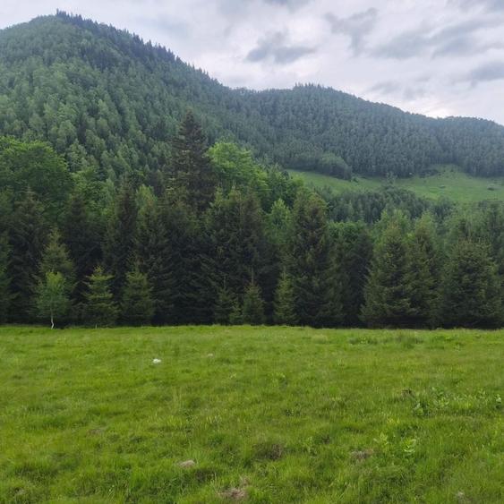 Teren de 300 mp, în Brădățel