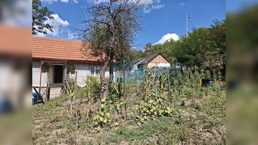 Casă cu 2 camere cu Teren 1457 Mp în Vest