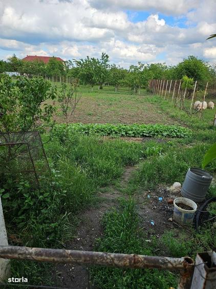 Casă cu 4 camere în Mândruloc