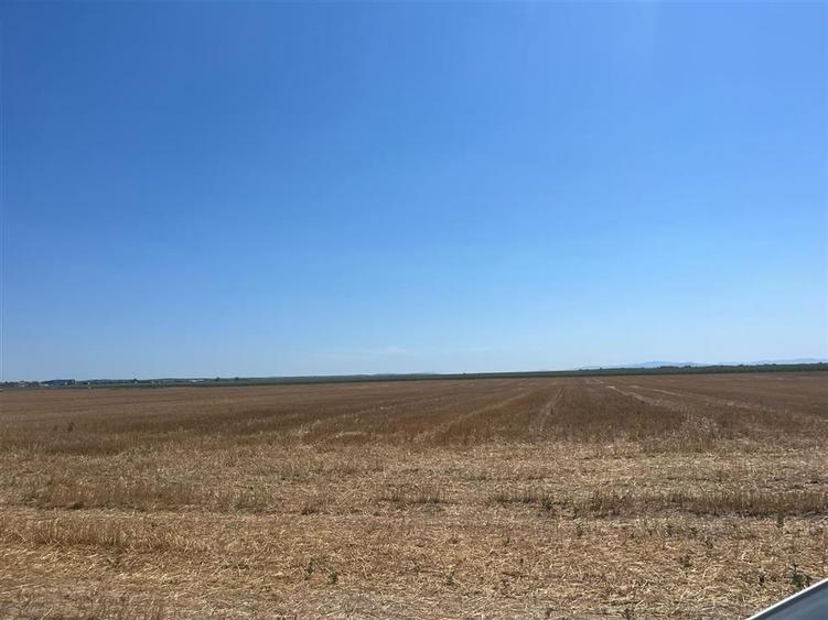 Teren agricol extravilan de 44000 mp, în Olcea